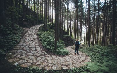 Gaining Insights in a Shifting Financial Services Industry